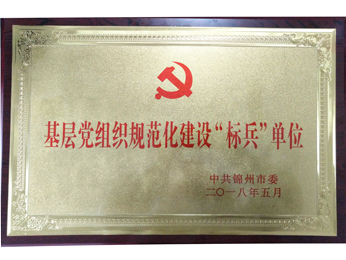 2018基層黨組織規(guī)範化建設“標兵”單位