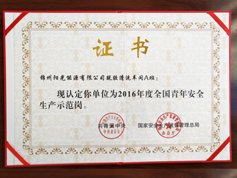 2016年度全國(guó)青年安全生產(chǎn)示範(fàn)崗