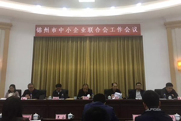 我公司參加全市中小企業(yè)聯(lián)合會(huì)工作會(huì)議并做發(fā)言