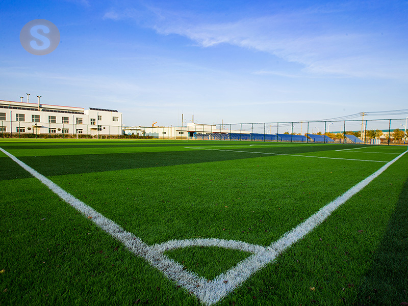 緑溢れるサッカー場(chǎng)