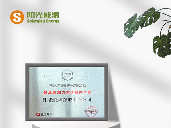 高光時(shí)刻 | 陽光能源榮獲光能杯“最具影響力光伏組件企業(yè)”稱號(hào)